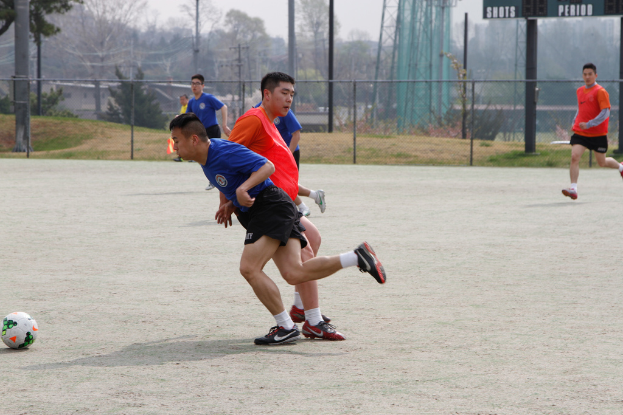 Spieler beim Fussballspielen auf einem Feld zu sehen, das von einem Maschendrahtzaun umgeben ist, mit Bäumen, Leitern und Strommasten auf der anderen Seite.