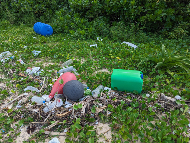 Ein Strand voller Plastikflaschen, Dosen und Trägern, mit Pflanzen und Bäumen im Hintergrund.