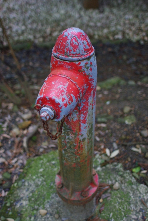 Nahaufnahme eines Wasserrohrs