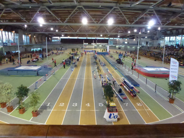 Eine volle Indoor-Sportanlage umgeben von Topfpflanzen, Stangen, Brettern, Lichtern und anderen Gegenständen, mit ein paar Menschen auf Stühlen.
