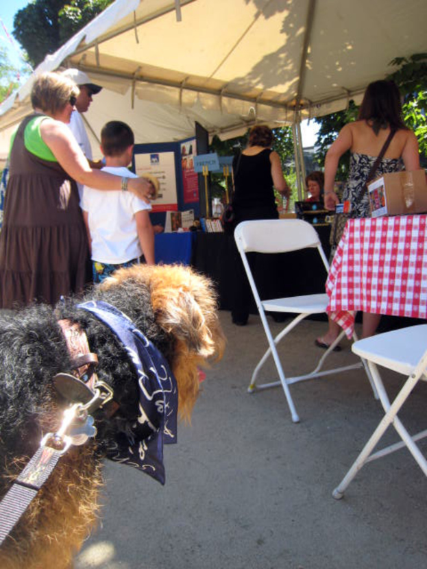 Ein cremefarbener Stoff bedeckt einen Raum mit wenigen Menschen, einem Baum, einem Plakat, St├╝hlen und einem Hund auf der linken Seite.