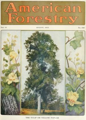 Ein Buchumschlag mit der Aufschrift "American Forestry Magazine, August 1915" mit leuchtenden Illustrationen von Bäumen, Blumen und Blattschmuck.