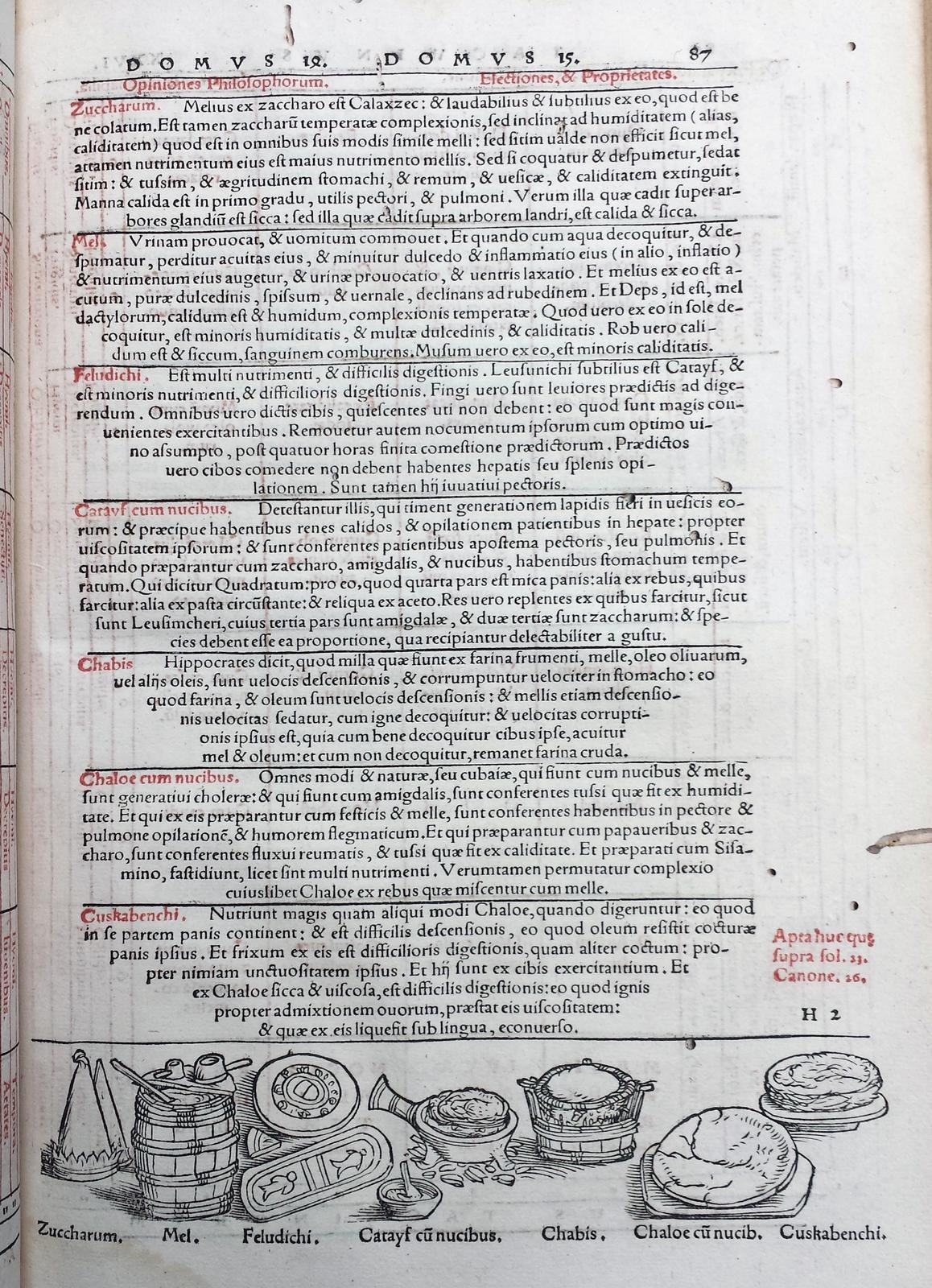 Ein aufgeschlagenes Buch mit einer Seite voller Text in verschiedenen Schriften und Farben sowie detaillierten Illustrationen von Obst, Gemüse und Getreide.