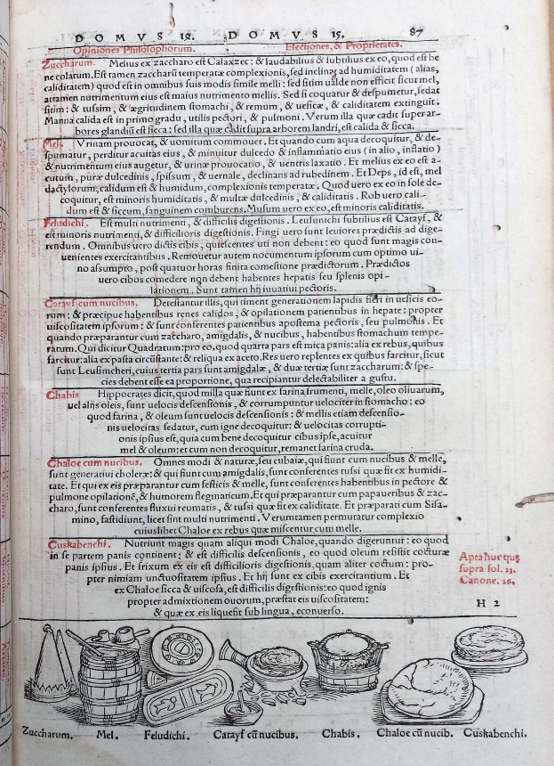 Ein aufgeschlagenes Buch mit einer Seite voller Text in verschiedenen Schriften und Farben sowie detaillierten Illustrationen von Obst, Gemüse und Getreide.