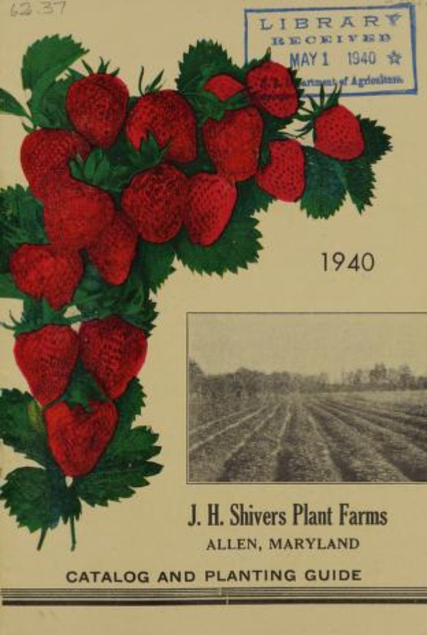 Ein Buch mit dem Titel "J.H. Shivers Plant Farms Catalog and Planting Guide 1940" mit einem Coverbild von Erdbeeren.