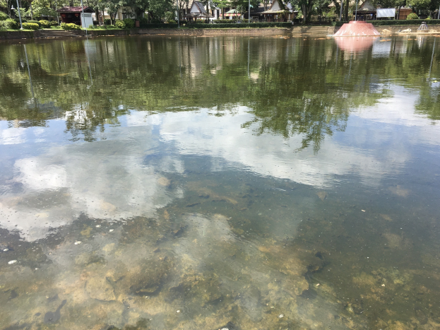 Ein verschmutzter Teich in einem Park, umgeben von Bäumen, Pflanzen, Pfählen und Hütten, mit dem Himmel im Hintergrund.