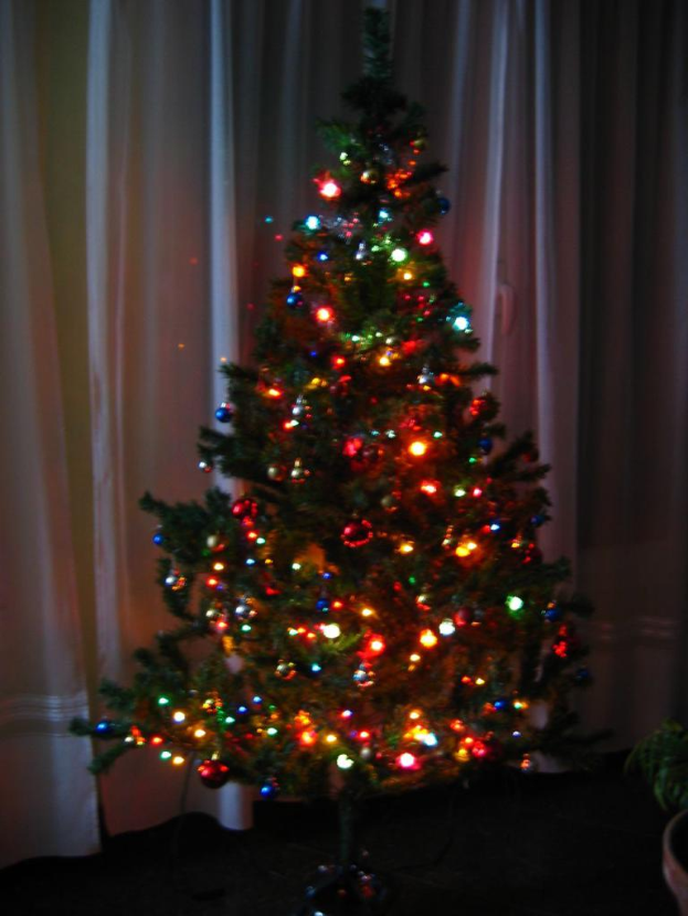 Ein Weihnachtsbaum mit Lichtern steht vor einem Vorhang und einem Topf