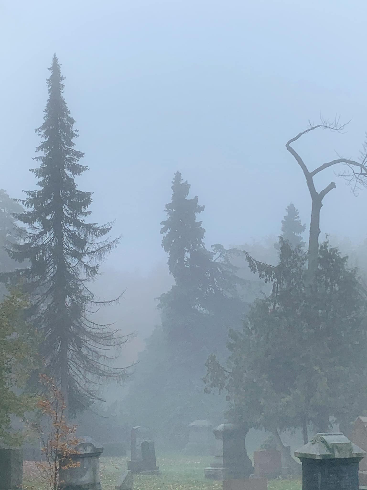 Nebliges Friedhof mit mehreren Grabsteinen und Bäumen im Hintergrund unter einem nebligen grauen Himmel.