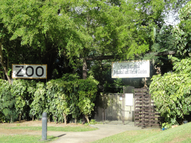 Eintritt in einen Zoo mit einem "Zoo"-Schild, umgeben von grünem Gras, hohen Bäumen und einem blauen Himmel, mit einem Pfahl im Vordergrund und einem Maschendrahtzaun im Hintergrund.