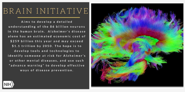 Ein Plakat mit einer farbenfrohen Illustration eines Gehirns auf der rechten Seite und einem Text auf der linken Seite, der das Ziel der Brain-Initiative beschreibt, ein detailliertes Verständnis der 86 Milliarden Neuronen im menschlichen Gehirn zu entwickeln.