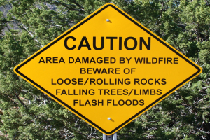 Gelbes Warnschild an einem Pfosten in der Vordergrund mit Bäumen im Hintergrund, auf dem steht: "Vorsicht: Gebiet durch Waldbrand beschädigt - Achten Sie auf lockere rollende Steine, umstürzende Bäume, Äste, Flash Floods."
