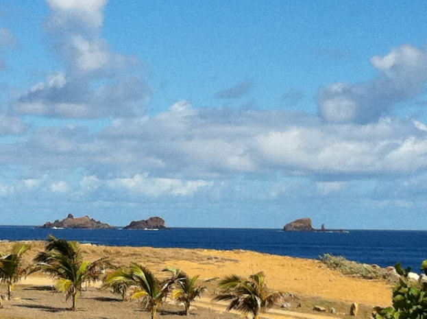 Eine Strandszene mit Palmen, grünem Gras, einem Gewässer und fernen Bergen unter einem blauen und weißen Himmel.