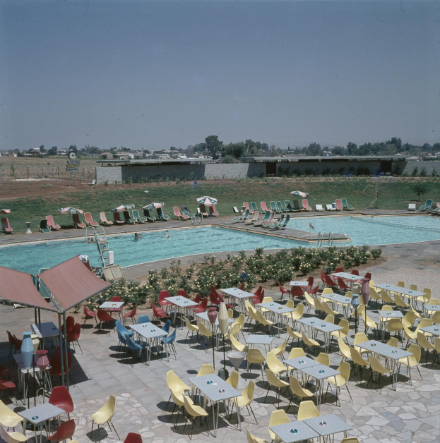 Ein Freibad mit Tischen, Stühlen und Sonnenschirmen umgeben von Pflanzen mit Blumen, einem Zaun, einer Wand, Bäumen, Gebäuden und einem bewölkten Himmel.