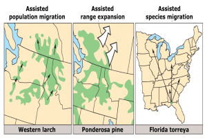 Plakat mit einer USA-Karte, auf der Regionen farblich markiert sind, um verschiedene Arten der unterstützten Bevölkerungsmigration darzustellen, begleitet von erklärendem Text.