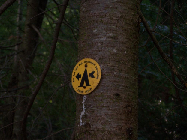 Ein Baum mit einem Warnschild darauf, umgeben von vielen anderen Bäumen in einem Waldgebiet.