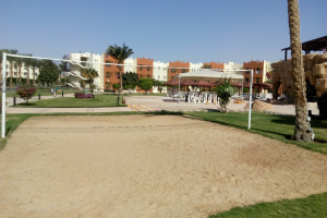 Ein Sandvolleyballplatz mit einem Netz in der Mitte, umgeben von grünem Gras, Bäumen und Pflanzen, mit Gebäuden und einem klaren blauen Himmel im Hintergrund.