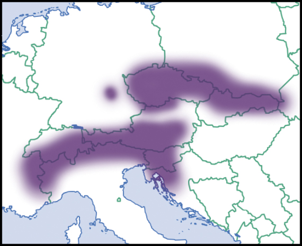 Eine Europakarte mit schwarzem Rand oben und unten und einem violetten Bereich in der Mitte, der das Ausmaß der Europäischen Union anzeigt.