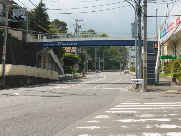 Eine Stadtstraße mit einer Fußgängerbrücke darüber, Fahrzeuge auf der Straße, Strommasten mit Drähten, Ampeln, Schilder, Gebäude mit Fenstern, Bäume und ein Himmel im Hintergrund.