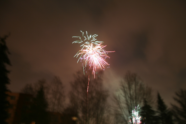 Umgestürzte Bäume auf dem Boden mit Feuerwerk und Wolken im Hintergrundhimmel.
