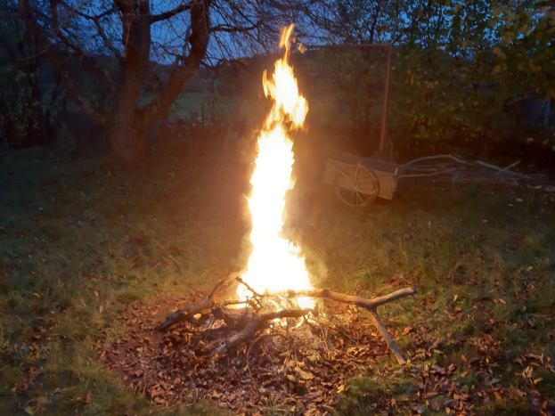 Feuer in einer nächtlichen Grasfläche, umgeben von trockenen Blättern und Stöcken, mit Bäumen und einem Karren im Hintergrund unter dem Himmel.