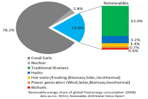 Ein Kreisdiagramm, das den globalen erneuerbaren Energieverbrauch im Jahr 2008 zeigt, unterteilt in Abschnitte für fossile Brennstoffe, Kernenergie, Wasserkraft, Warmwasser, Heizung, Biomassen, Solarenergie, Geothermie und Biokraftstoffe.