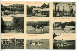Ein Schwarz-Weiß-Foto einer Farm mit Rindern, Pferden, Schafen, Häusern, Bäumen und einem Zaun, mit Text auf der Postkarte.