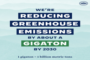 Essener Umweltpreis 2025: Projektvorschläge bis zum 15. Oktober einreichen!