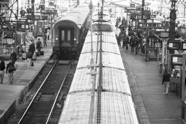 Vollbesetzte Bahnsteige mit mehreren Zügen auf den Gleisen und vielen Menschen auf dem Bahnsteig.